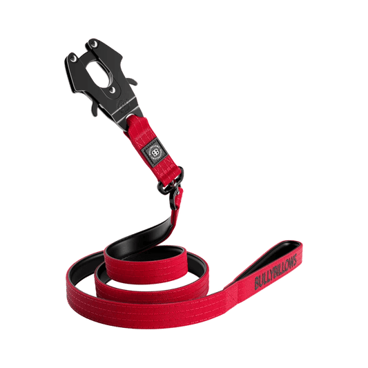 BullyBillows 1.48m Combat Dog Lead – Padded, Anti-Tangle, Pressure Tested - House Of PDB