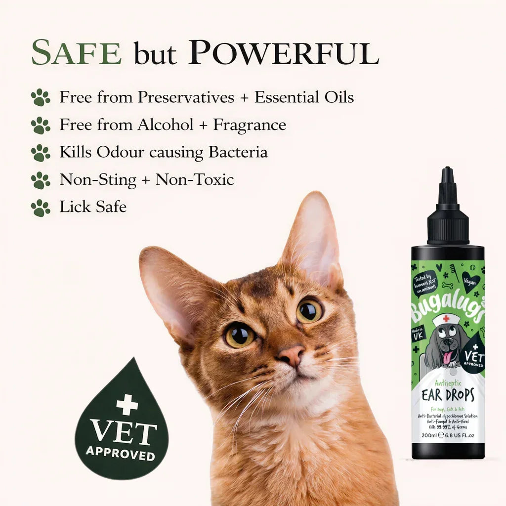 Bugalugs Antiseptic Ear Drops 200ml - House Of PDB