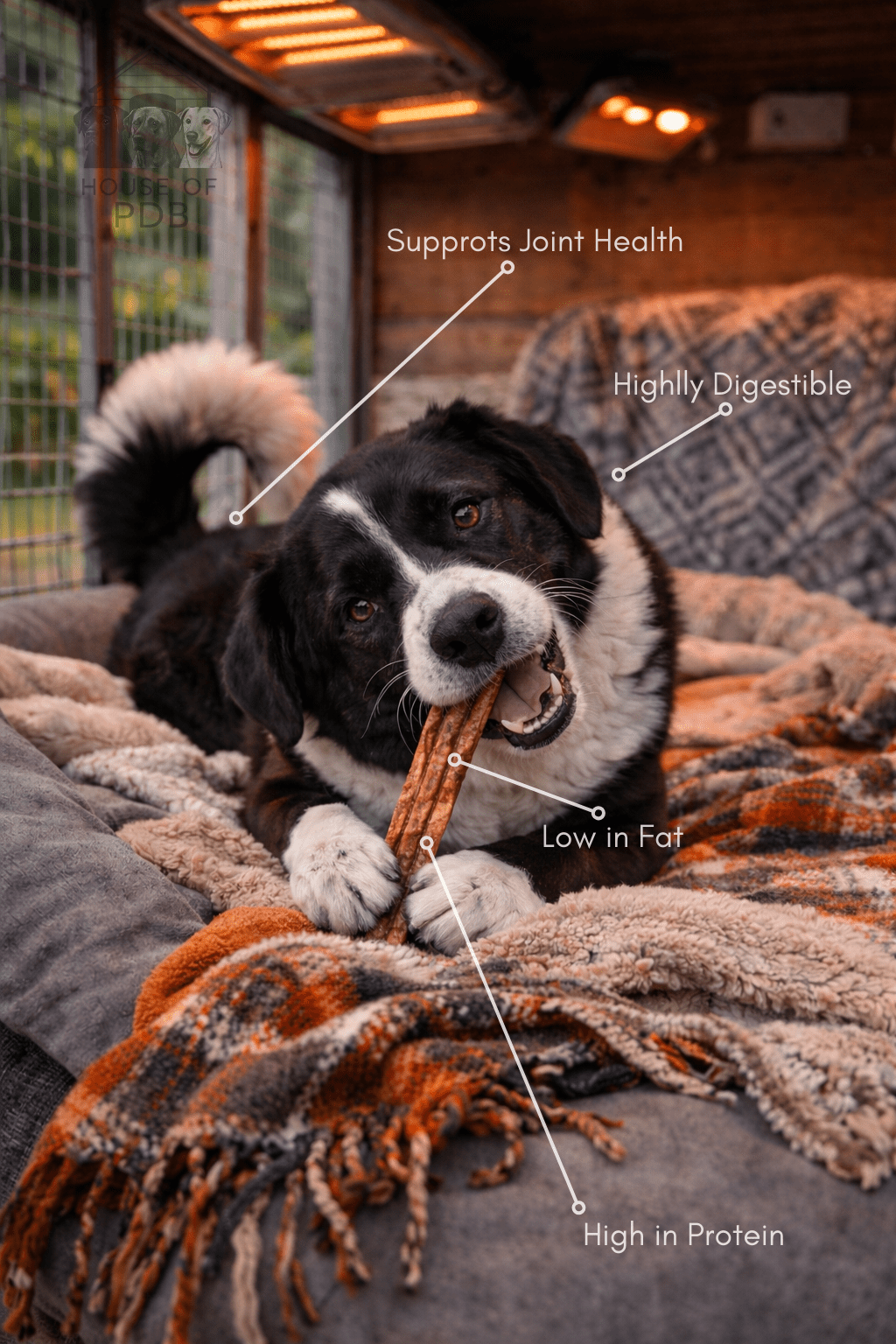 Chewllagen Beef Mini Roll 5 pack - House Of PDB