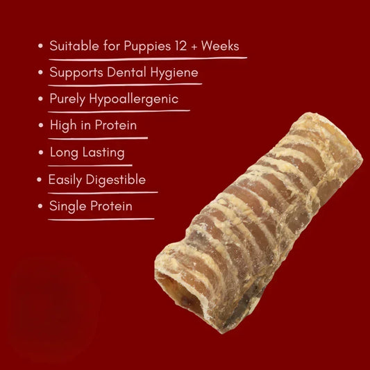 Beef trachea natural dog treat on red background with benefits text, House Of PDB product