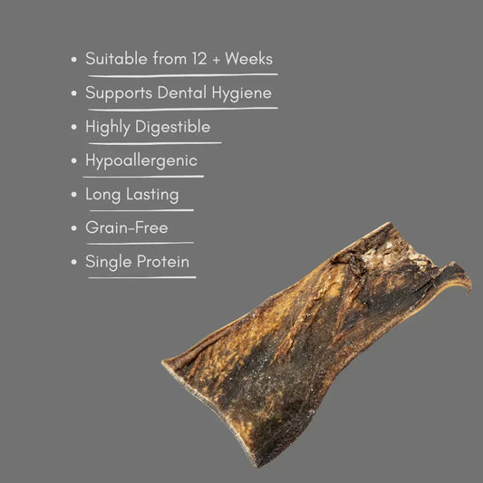 Natural camel skin dog treat on grey background with benefits like dental hygiene and grain-free.