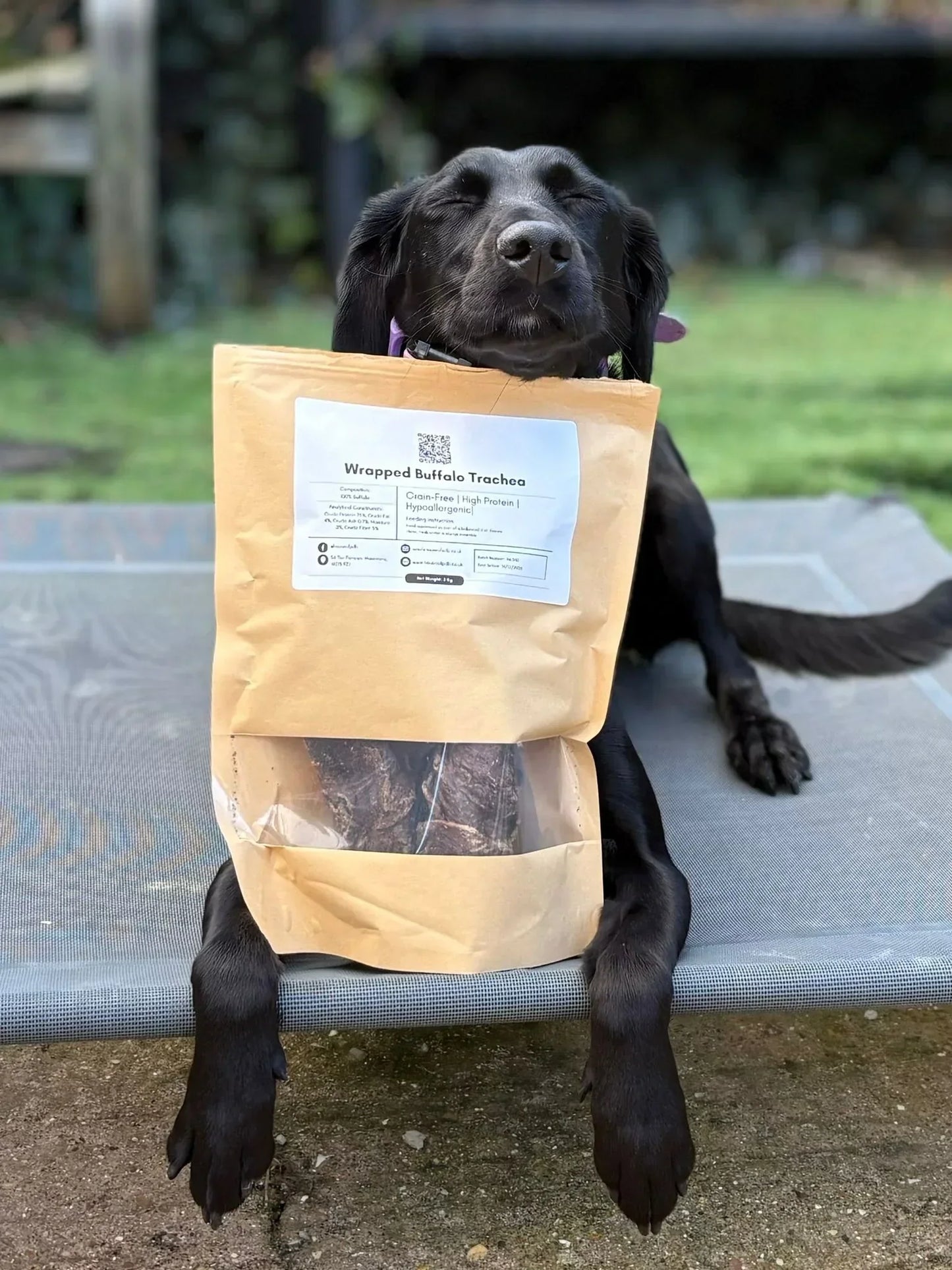 Wrapped Buffalo Trachea - HOUSE OF PDB