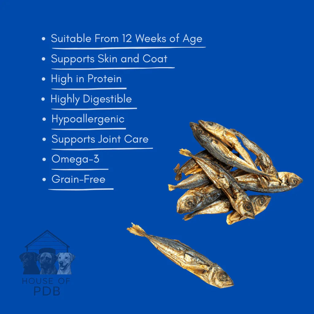 Dried sprats pile on blue background with dog food benefits text and House of PDB logo