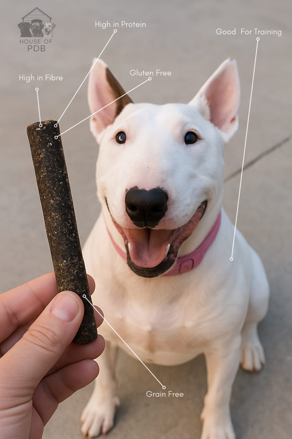 Dog waiting for a duck meaty stick dog treat treat with text labels about its nutritional benefits.