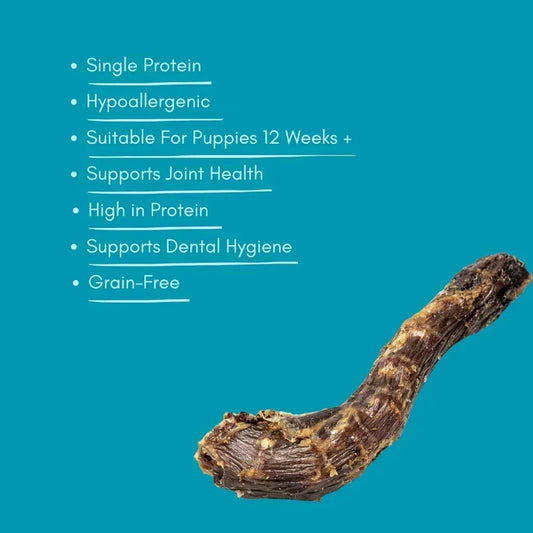 Natural dried duck neck dog treat on blue background with key health benefits listed