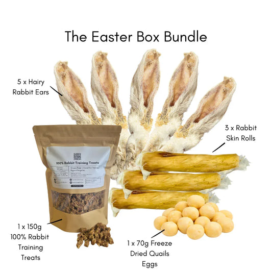Easter Box Bundle - HOUSE OF PDB