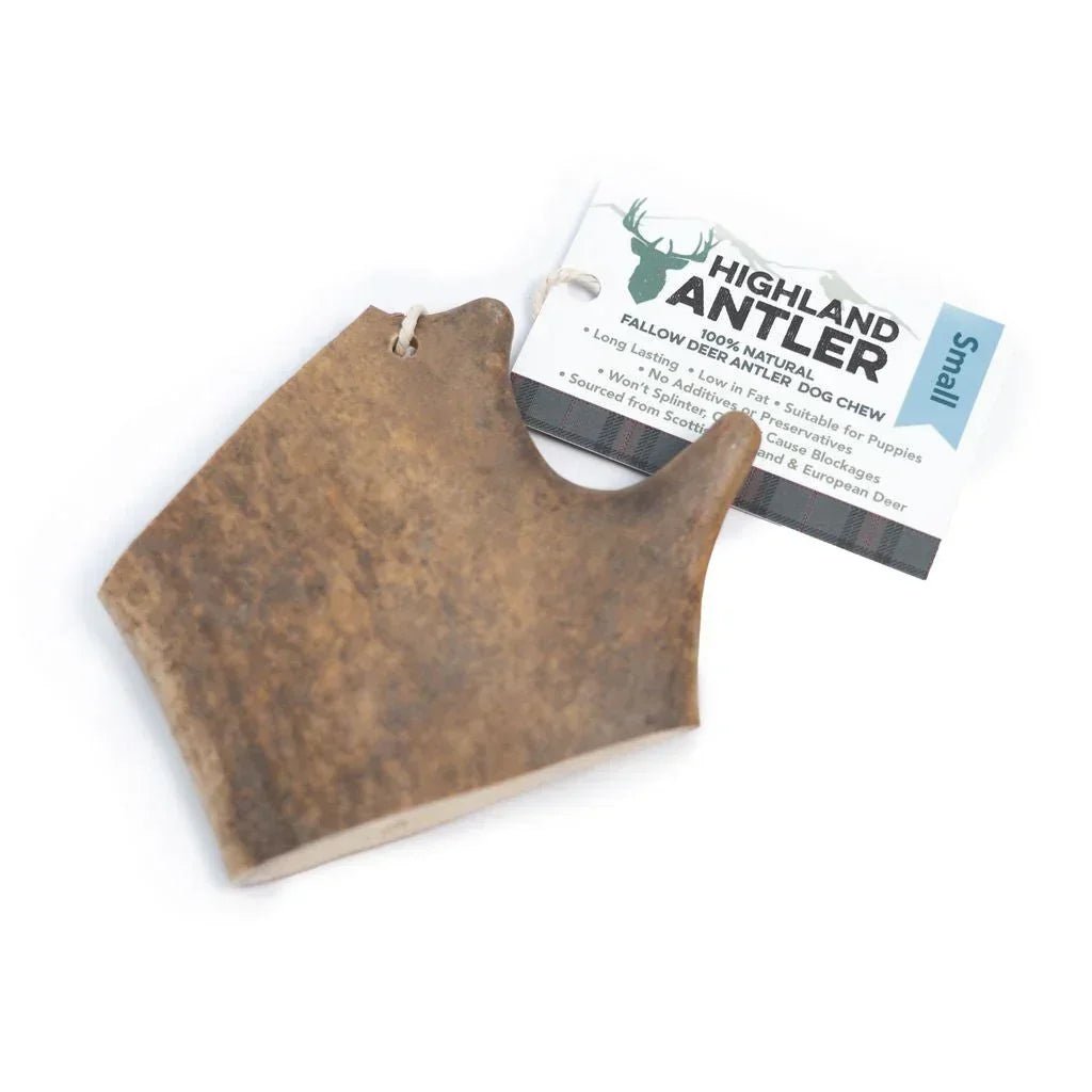 Fallow Antler Small (Under 75g) - House Of PDB