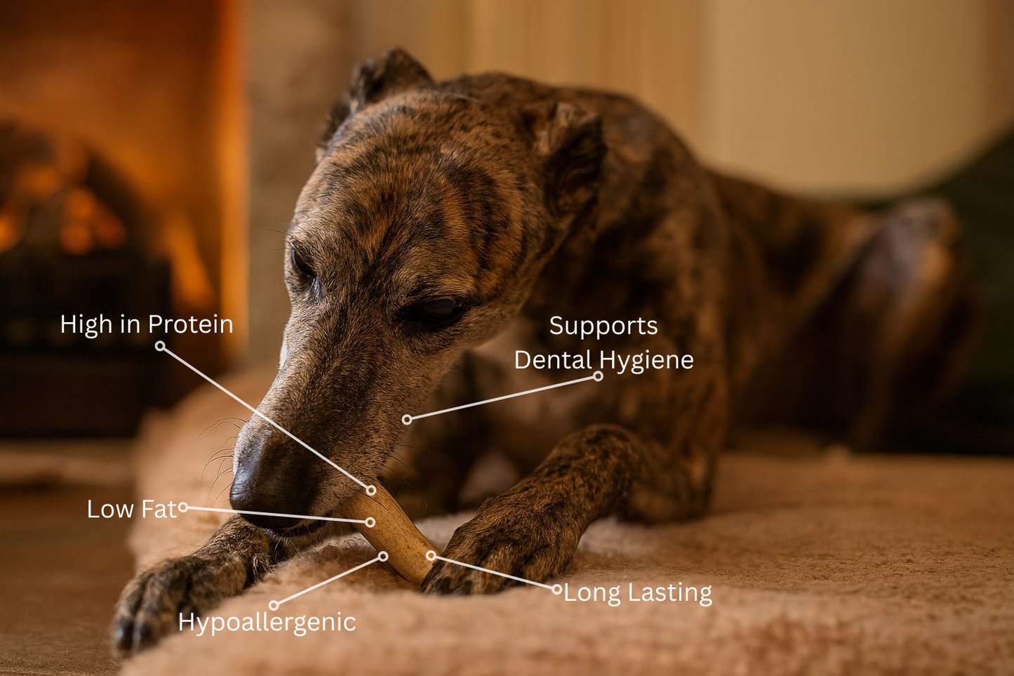 Dog chewing on a natural small fallow antler with text labels about its benefits
