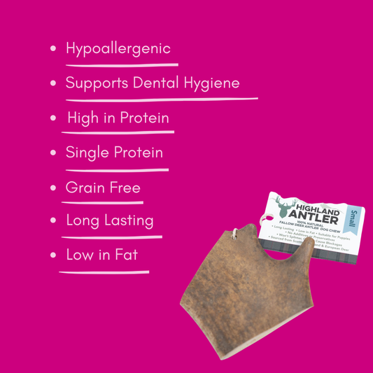Natural small fallow antler dog chew product on a pink background with text about product benefits.
