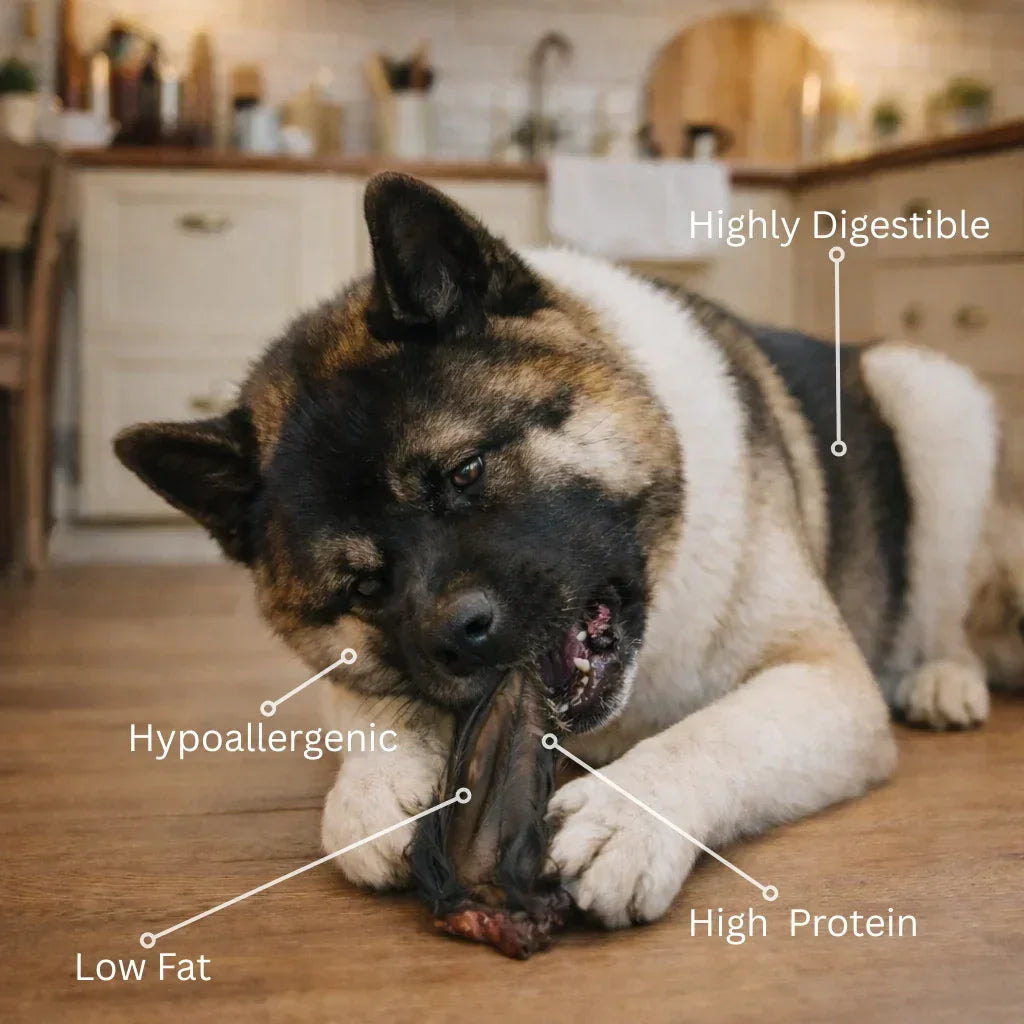 Dog chewing natural buffalo ear treat on wooden floor, labeled low fat, high protein, hypoallergenic