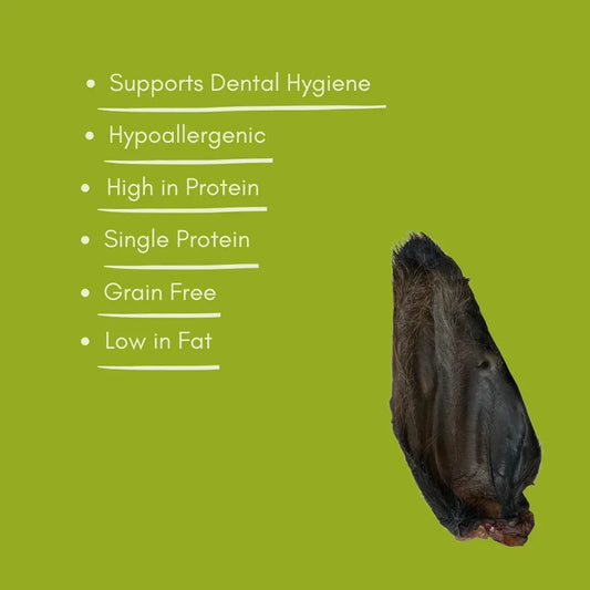 Natural buffalo ear dog treat with health benefits listed on green background, House Of PDB