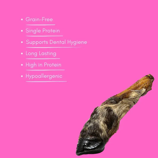 Natural hairy lamb foot dog treat with benefits list on pink background, House Of PDB