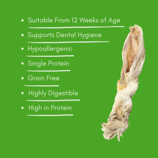 Natural hairy rabbit ear dog chew product with text on a green background listing health benefits