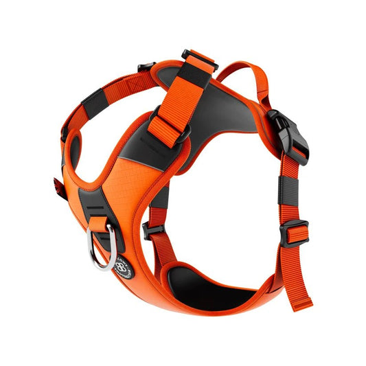 BullyBillows Hurricane Dog Harness – Durable, Reflective, Adjustable - House Of PDB
