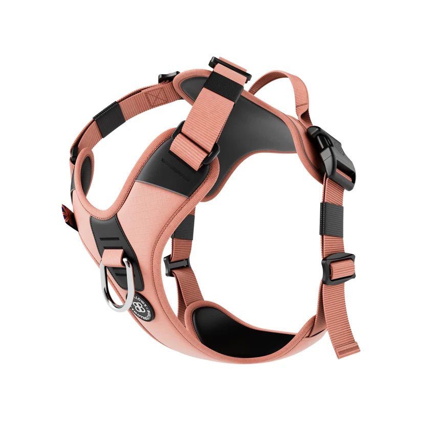 BullyBillows Hurricane Dog Harness – Durable, Reflective, Adjustable - House Of PDB