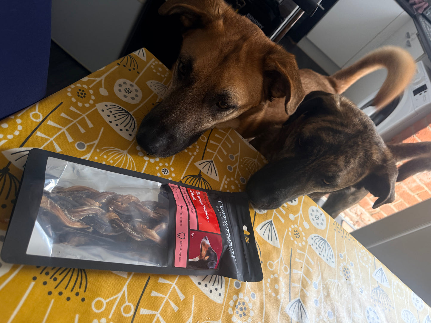 Two dogs are looking at a package of dog treats placed on a yellow patterned tablecloth in a home setting.