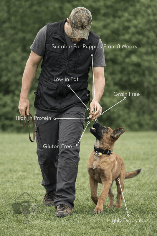 Luxury Buffalo Pâté 400g - House Of PDB