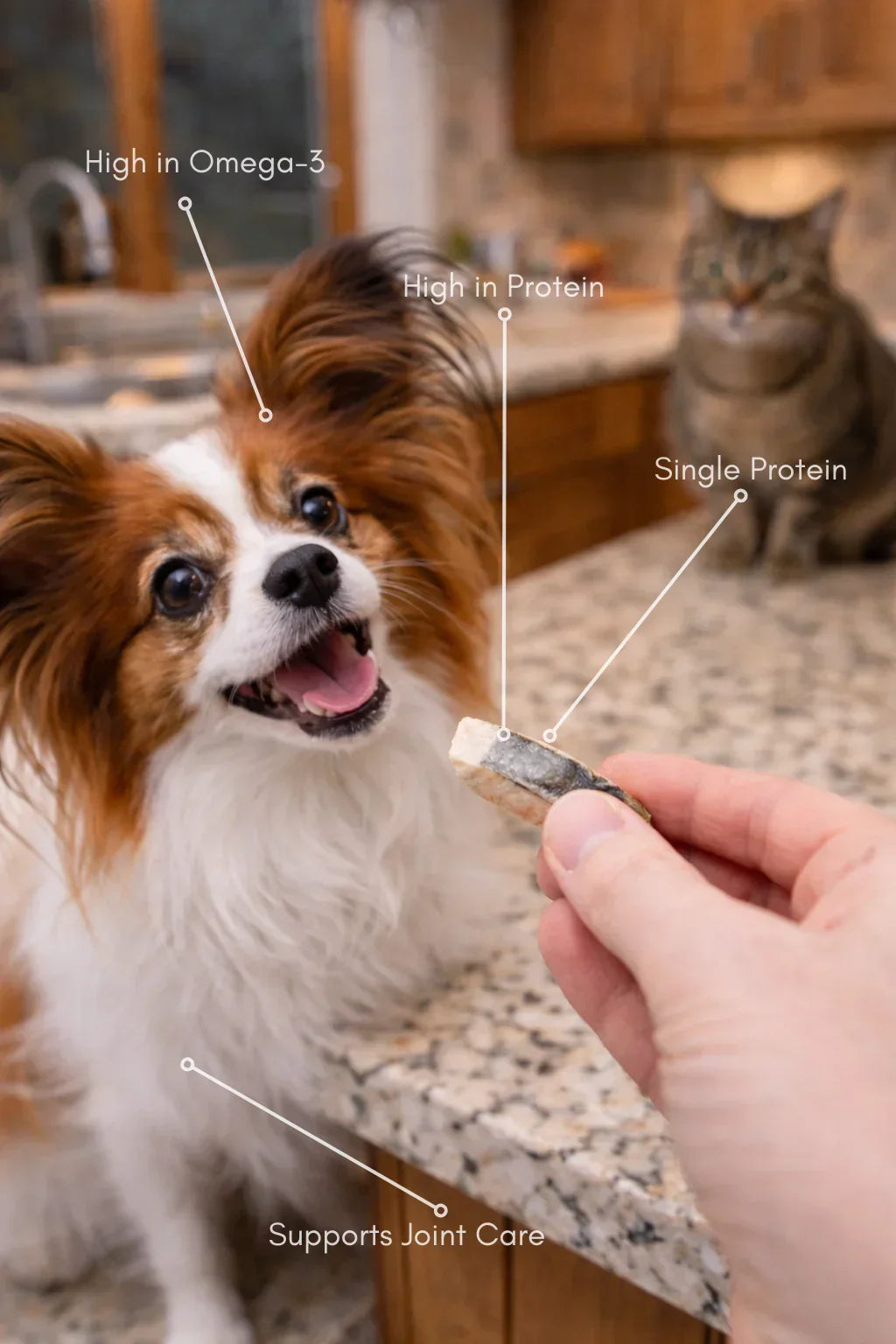 Dog and cat in kitchen with hand holding natural mackerel treat, highlights Omega-3, protein