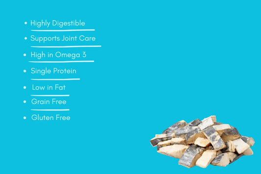 Natural mackerel dog and cat treats on blue background with health benefits listed