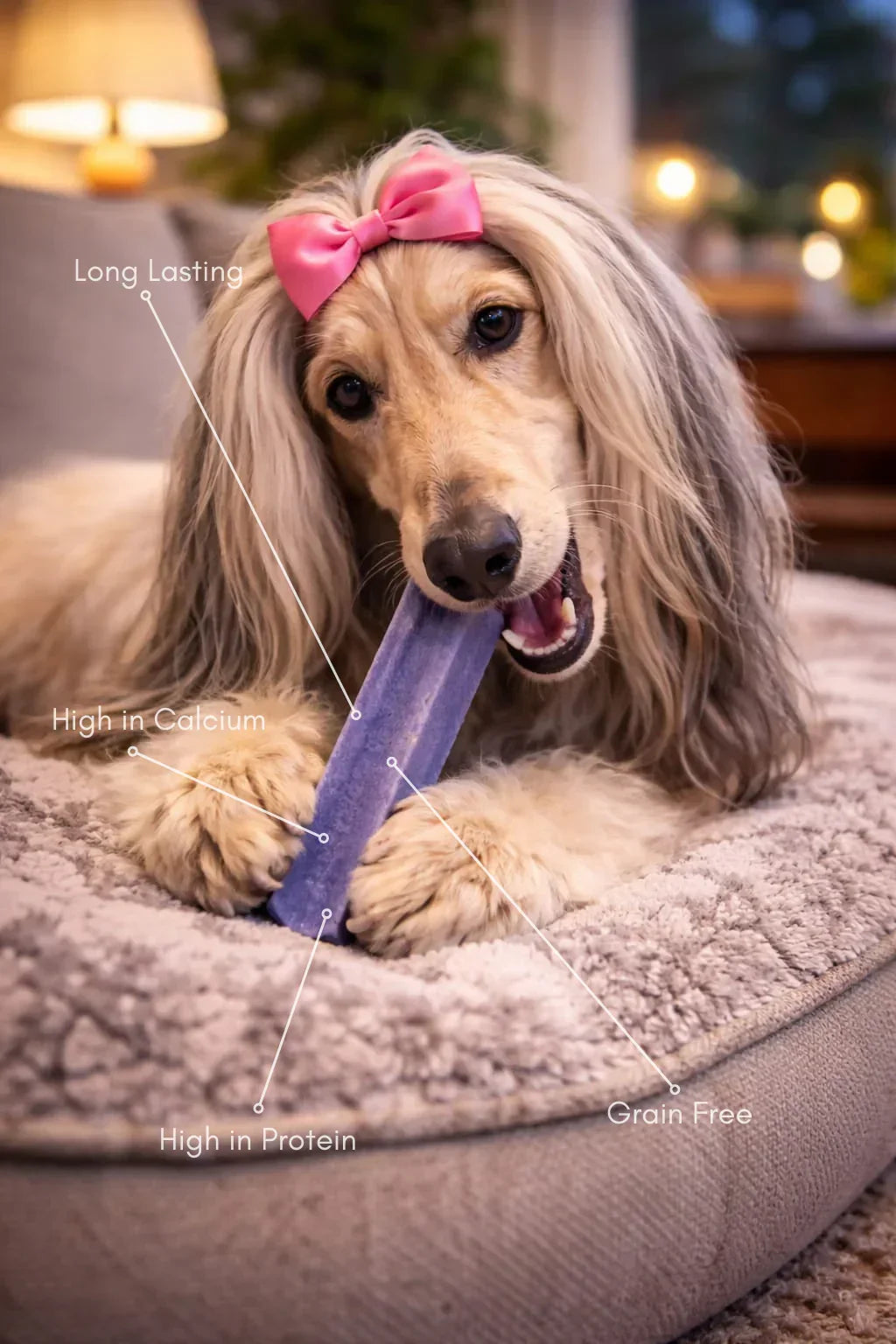 Long-haired dog with pink bow chewing House Of PDB blueberry yak dog treat on a bed