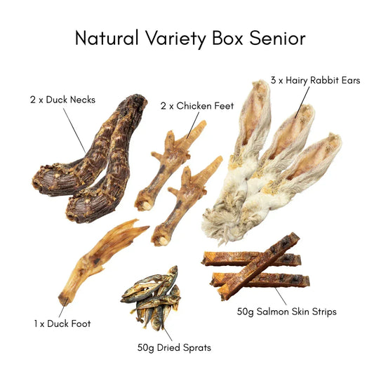 Natural Variety Box Senior with duck necks, chicken feet, hairy rabbit ears, duck foot, dried sprats, and salmon skin strips, 100% natural dog treats from House Of PDB.