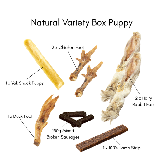 Dog treat natural variety box for puppies with labelled components on a white background