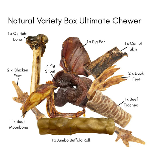 Natural variety box of 100% natural dog treats including ostrich bone, chicken feet, pig snout, pig ear, camel skin, duck feet, beef trachea, beef moonbone, and jumbo buffalo roll.