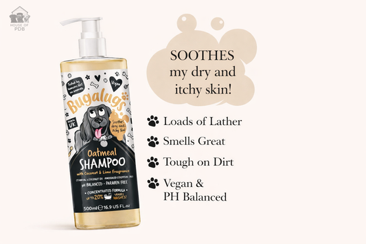 Oatmeal, coconut and lime dog shampoo with a list of the benefits this product brings to your dogs coat.