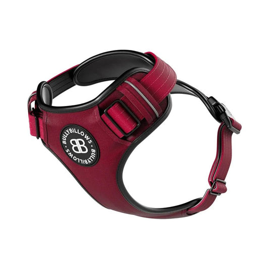 BullyBillows Premium Comfort Dog Harness – Adjustable, Reflective, Breathable - House Of PDB
