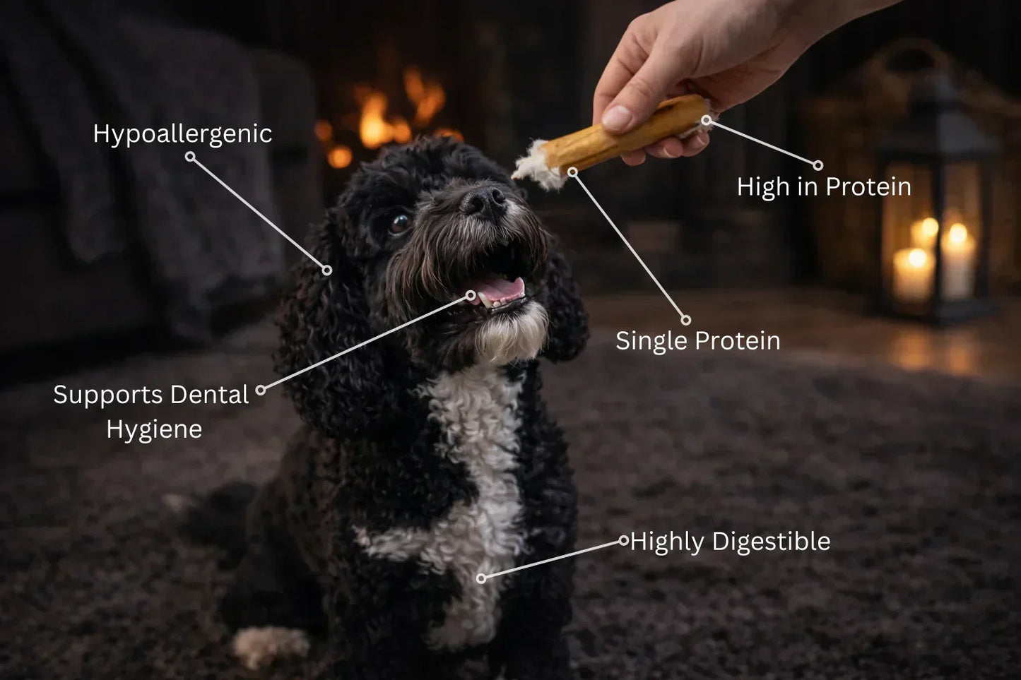 Dog eagerly receiving 100% natural rabbit skin chew on carpet, with benefit labels including hypoallergenic, high protein, single protein, highly digestible, and dental hygiene support from House Of PDB.
