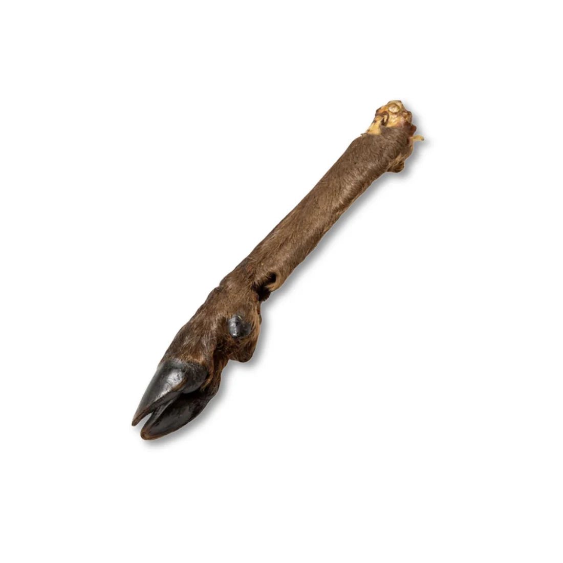 Large Hairy Venison (Deer) Legs - House Of PDB