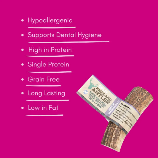 Split antler dog chew on magenta background, showing benefits like hypoallergenic, high in protein, and grain free.