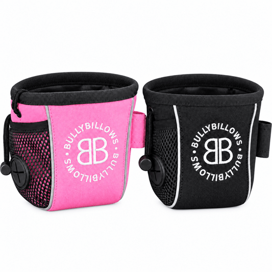 Dog Training Bundle – Anti Pull Harness, Training Lead, Recall Lead and Treat Pouch - House Of PDB