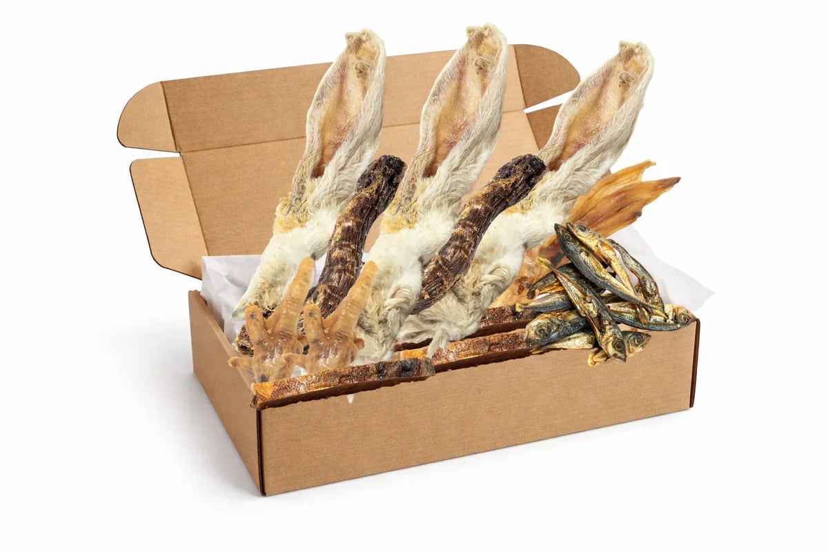 Natural Variety Box Senior - House Of PDB