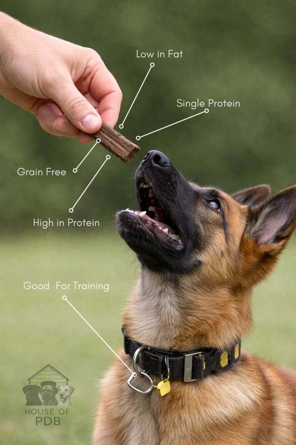 Dog being offered a treat with text highlighting benefits, against a green outdoor background.