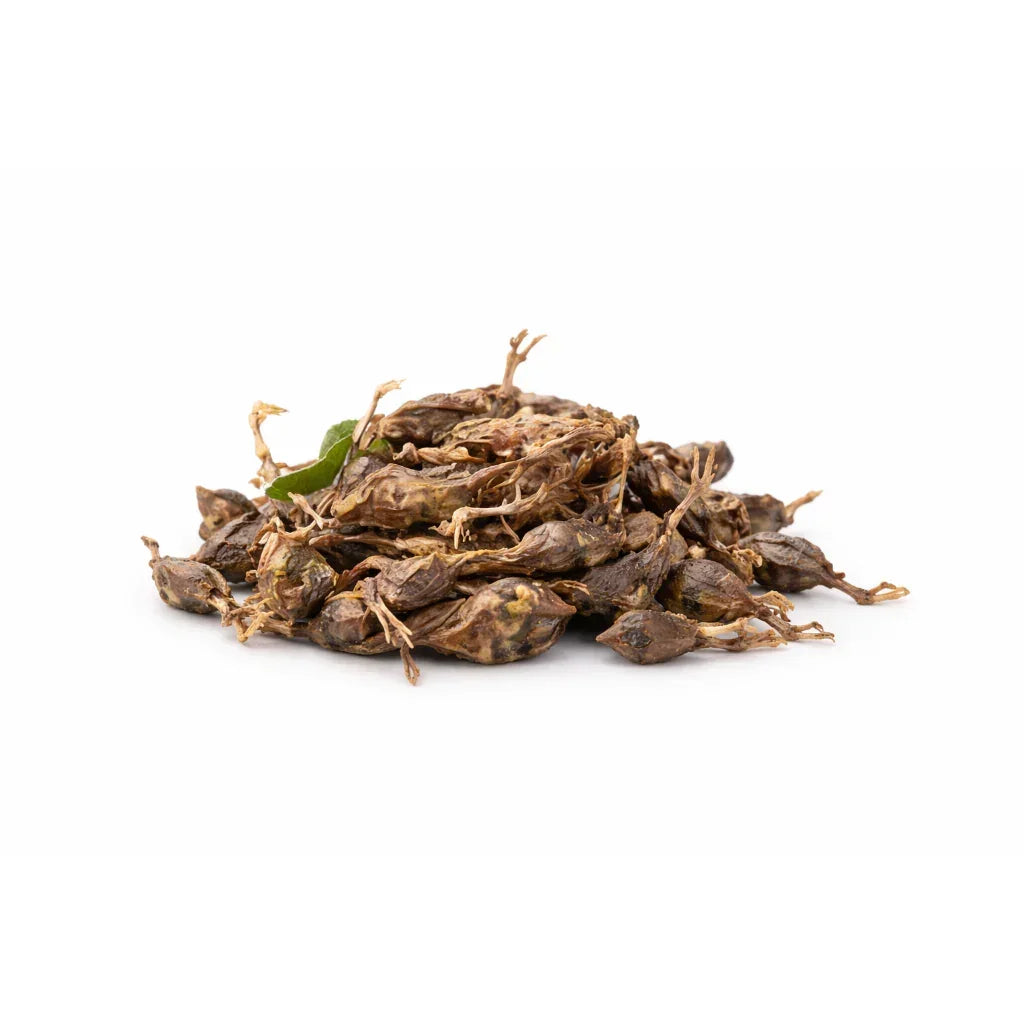 Waita Freeze Dried Quail 30g - House Of PDB