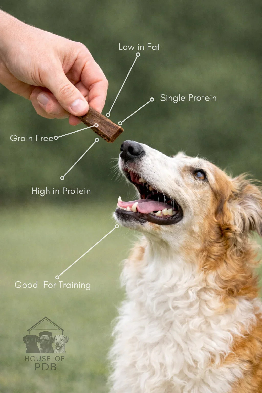 Dog being offered a treat with nutritional information labeled, set against a natural background.