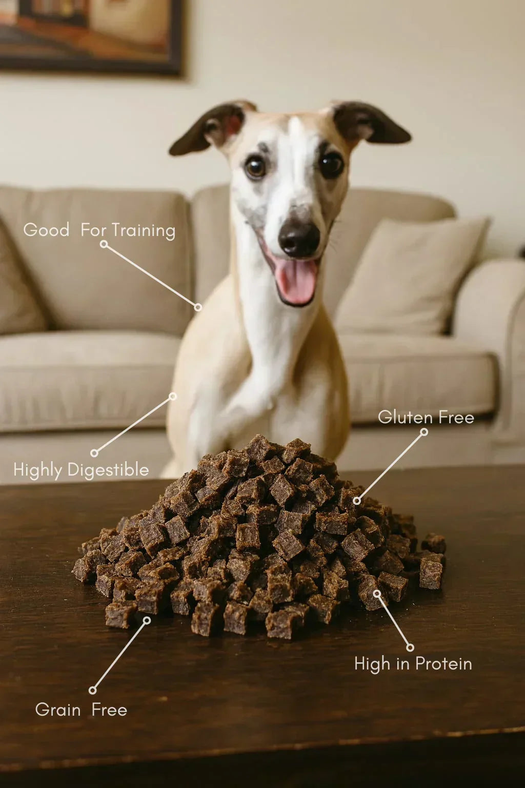 Dog with natural beef training treats, grain free, gluten free, high protein, House Of PDB.