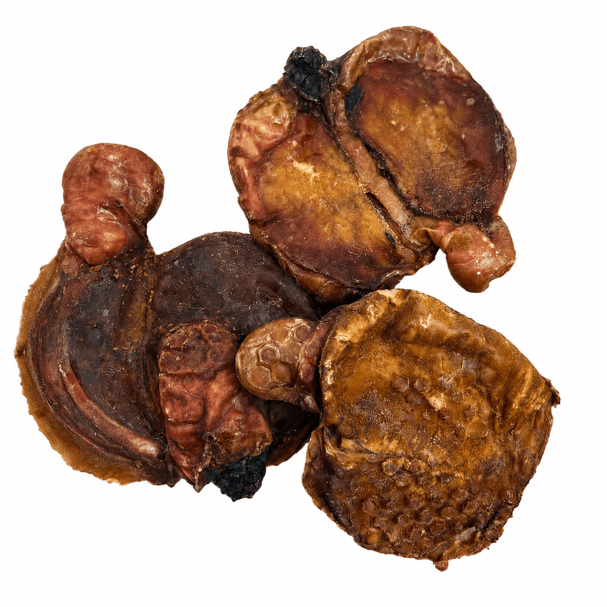 Lamb Goolies (Testicles) Mixed Sizes - House Of PDB