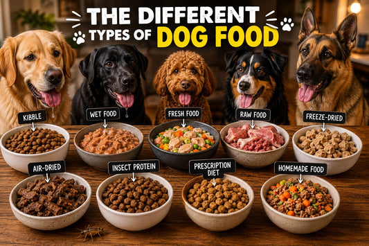 The Complete Guide to Dog Food Types: Kibble, Wet, Raw, Fresh, and Insect Protein Explained - House Of PDB