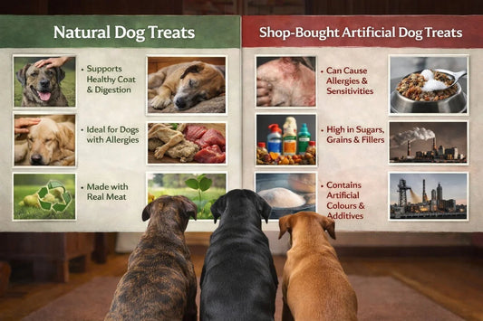 Why 100% Natural Dog Treats Are Better Than Shop-Bought Pre-Packed Treats - House Of PDB