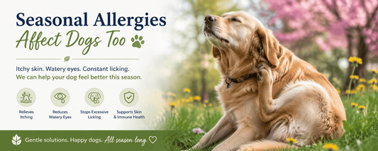 Seasonal Allergies in Dogs: The Itchy Truth Every Owner Should Know - House Of PDB