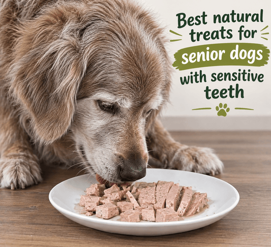 Best natural treats for senior dogs with sensitive teeth