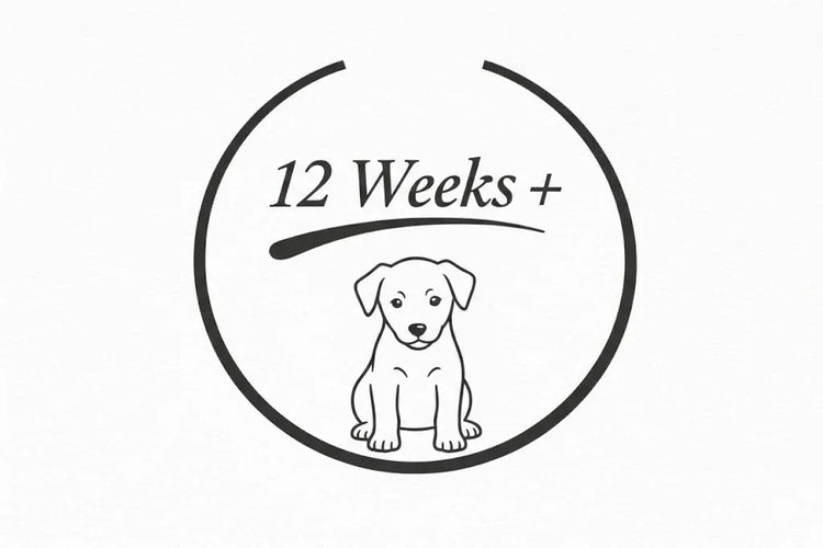 Dog icon with '12 Weeks Plus' text, age guideline for natural dog treats from House Of PDB