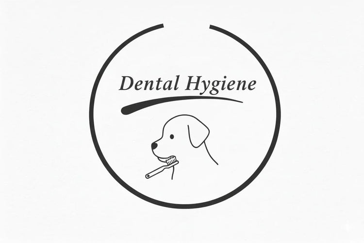 Dental Hygiene - House Of PDB