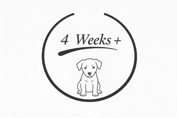 Illustration of puppy with text '4 Weeks+' for House Of PDB natural dog treats age guide