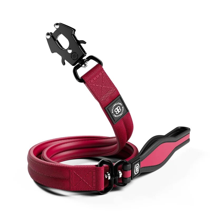 BullyBillows 1.2m Mini Combat Dog Lead – Anti-Tangle - House Of PDB