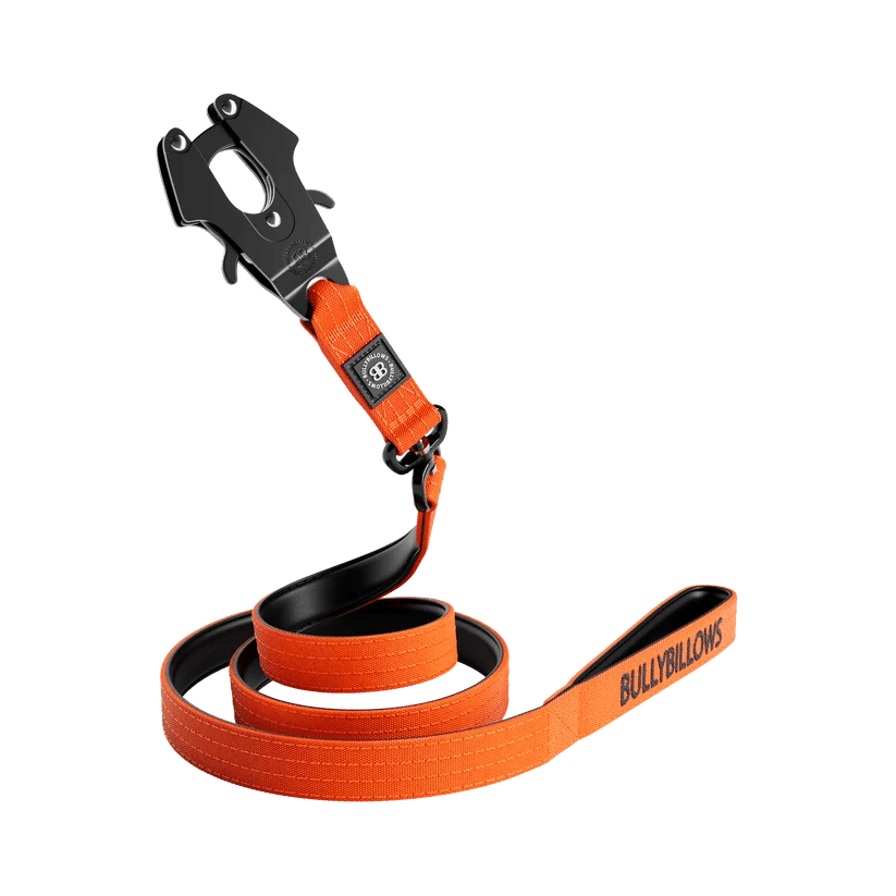 BullyBillows 1.48m Combat Dog Lead – Padded, Anti-Tangle, Pressure Tested - House Of PDB