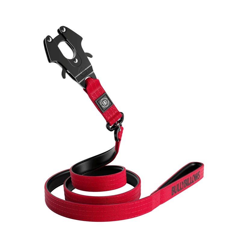 BullyBillows 1.48m Combat Dog Lead – Padded, Anti-Tangle, Pressure Tested - House Of PDB