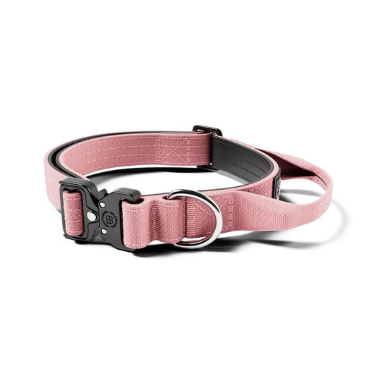 2.5cm Combat® Collar | With Handle & Rated Clip - House Of PDB